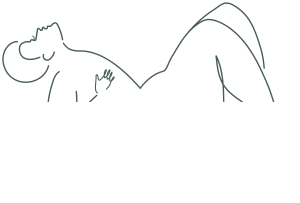 Logo calinella bicolore